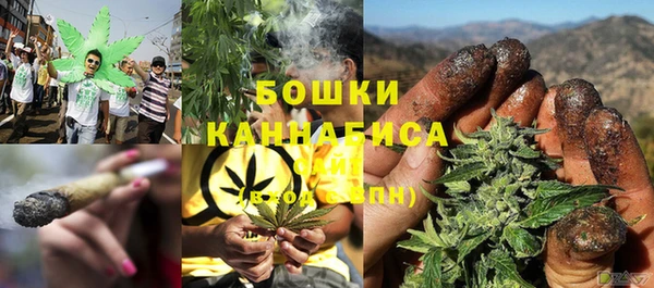 ПСИЛОЦИБИНОВЫЕ ГРИБЫ Абаза