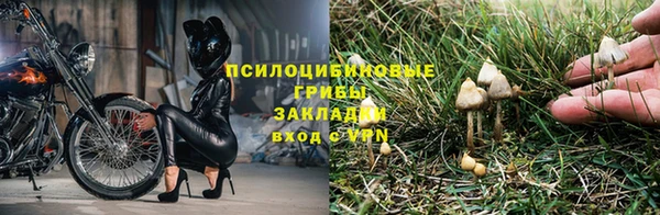ПСИЛОЦИБИНОВЫЕ ГРИБЫ Абаза