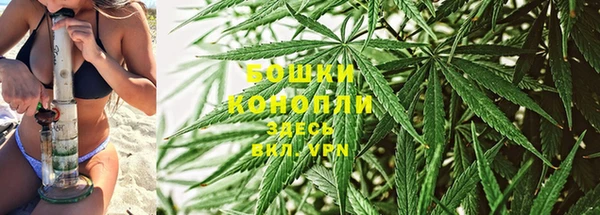 ПСИЛОЦИБИНОВЫЕ ГРИБЫ Абаза