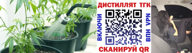 ТГК THC oil  Советская Гавань 