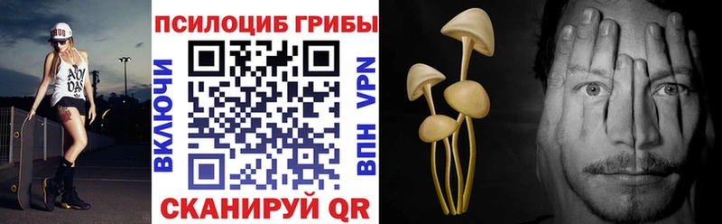 где купить наркоту  Советская Гавань  Галлюциногенные грибы прущие грибы 